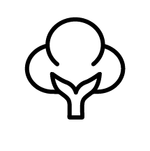 Cotton plant icon, representing natural cotton fabric for Sleeping Dove natural cooling