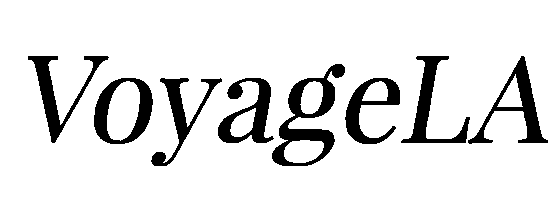 Text 'VoyageLA' in black on a white background
